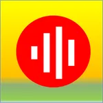 Recorder Audio Internal icon