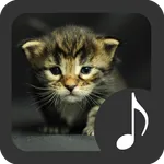 Kitten Sounds icon