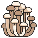 Mushroom Recipes Cookbook icon