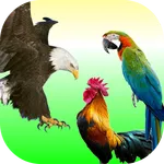 Birds Soundboard icon