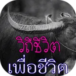 วิถีเพลงเพื่อชีวิต icon