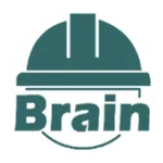 Braindustry icon