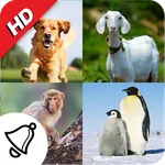 150 Animal Ringtones icon