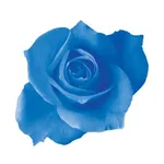 RosaBluOnline - App icon