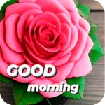 Good Morning Rose icon