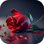 Rose Flower Images icon