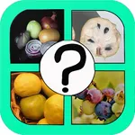 Vegetables and fruits Quiz icon
