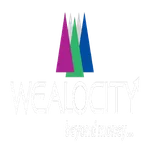 WealocityAnalytics icon