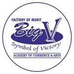 Big V Academy icon