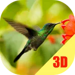 Birds Flying Live Wallpaper icon