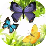 Butterfly and Blossom live wal icon