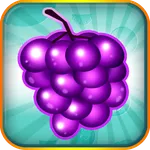 Fruit Blitz icon