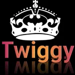 Twiggy Fashion Makeover icon