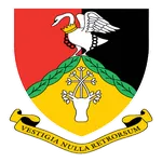 BRFC Minis Festival icon