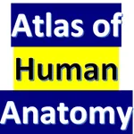 Human Anatomy icon