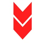 VIP - All In One Status Saver icon