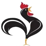 RYTGG FOODS icon
