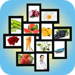 My Picture Library icon