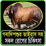 গবাদিপশুর ভাইরাসসহ সকল চিকিৎসা icon