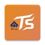 RSP TOWN SERVICES icon