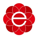 eSolar Air icon