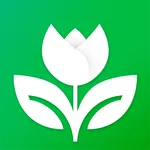 Цветы Тут - доставка цветов icon