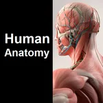 Human Anatomy Quiz icon