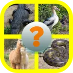 Learn English (Animals) icon