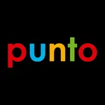 Punto Premium icon