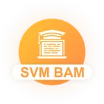 SVM BAM icon