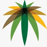 منصة جسور icon