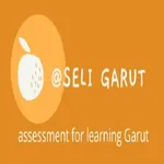 SELI GARUT icon