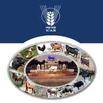 NBAGR DATA GATHERING icon