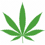 Weed Clicker icon