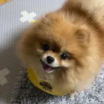 두 번째 어플리케이션 icon
