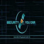 Security your car icon