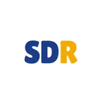 sedulur dedy ramanta icon