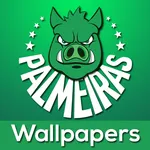 Palmeiras Wallpapers do Verdão icon