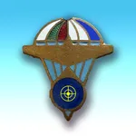 Target Skydiving icon