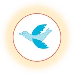SKS IT FIRM icon