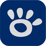 Nexo Profesionales App icon