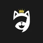 Feliz Chat Pro icon