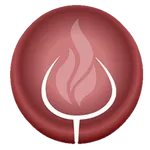 Rádio Vinho Novo icon