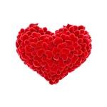Love Quotes icon