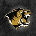 Bentonville Tiger Athletics icon