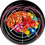 Memorize - the Brain Game icon