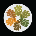 Scenic Oaks Mobile Mortgage icon