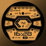 [69D] W2081 icon