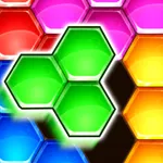 Hexa Puzzle Master icon