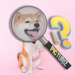 Picturiz - The Picture Quiz icon